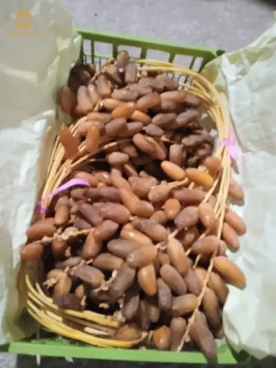 عرجون ما شاء الله