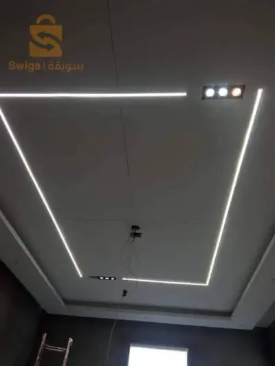صباغة + أسقف