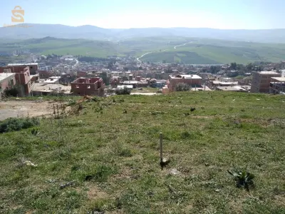 اعلان اض لي البيع تقعو في زيغود يوسف في عين فطمة.
