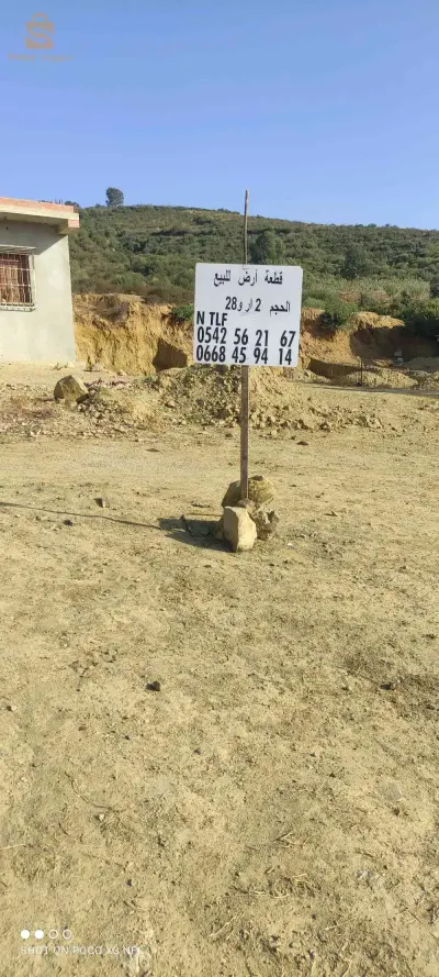 قطعة ارض بابي تامبري صافي