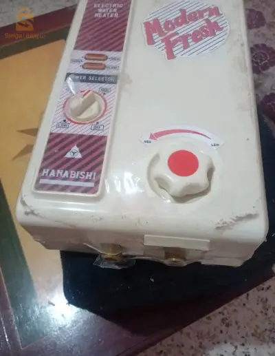 سعيدة