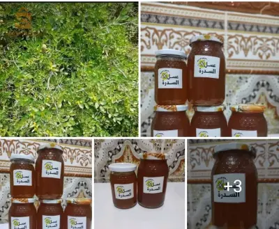 البليدة