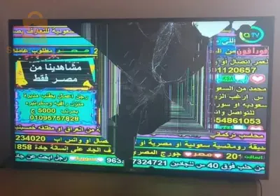 بلدية سكيكدة