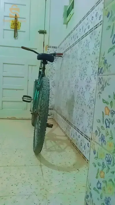 لاغواط