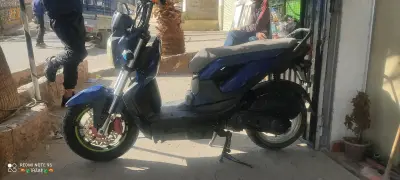 كلش ريڨلو
