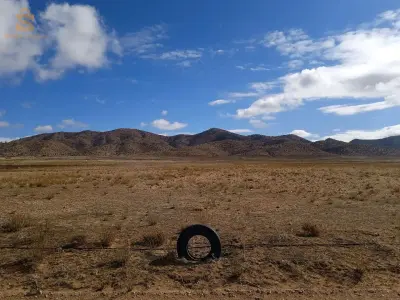 بلدية جبل امساعد طريق الجلفة كاف الطيور