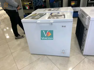 Congélateur géant 260L