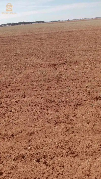 أرض فلاحية بامتياز فيها بناء ريفي و بئر