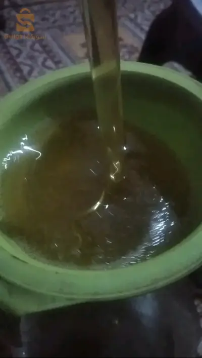 زيت الزيتون جديدة