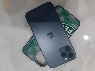 12 pro max
