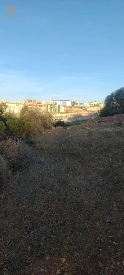 شتوان عين الحوت