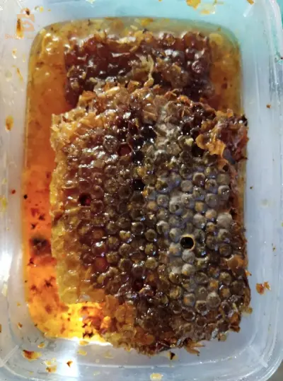 عسل جبلي و شهد العسل بالتحاليل المخبرية