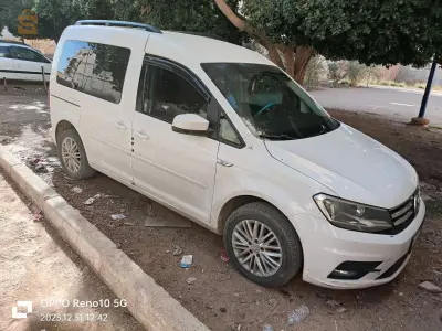 الشلف