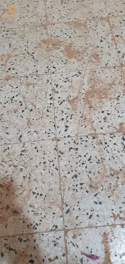 بومرداس زموري