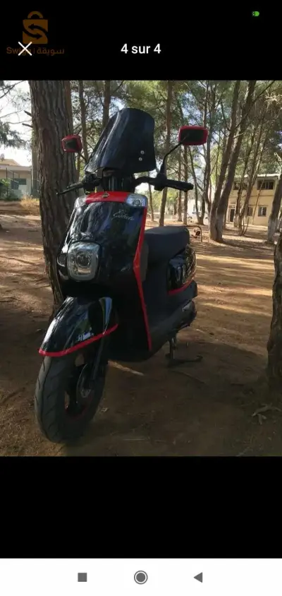moto estate