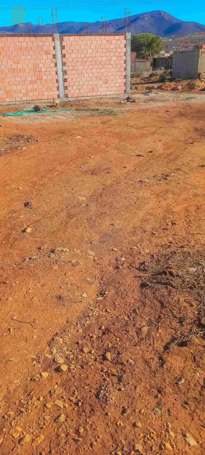 الوادي الاخضر