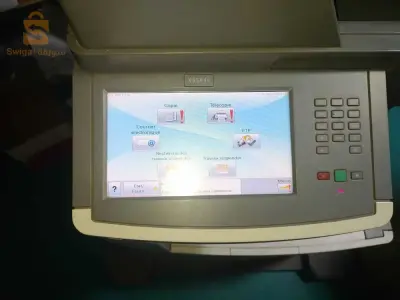 تيبازة