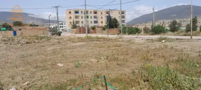حي الزيتون تلعصة ابولحسان شلف