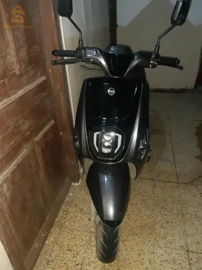 estate x