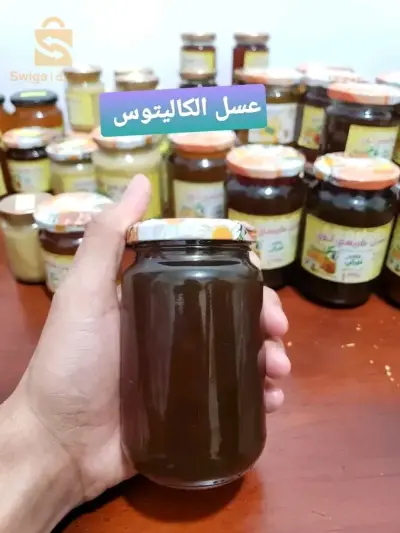 عسل الكاليتوس الطبيعي