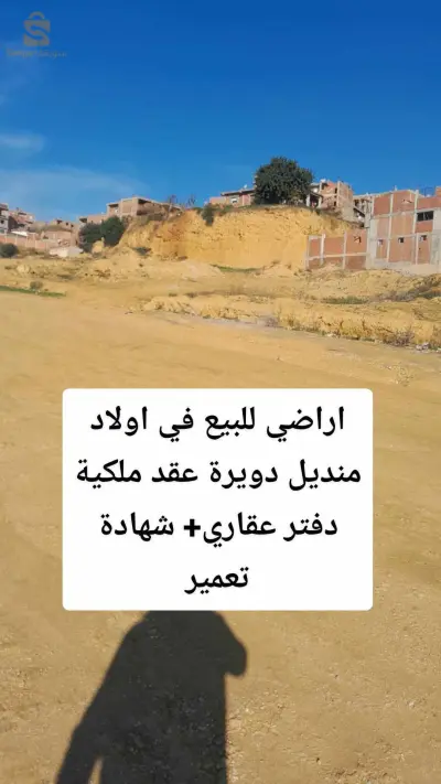 Terrains à vendre à Oulad Mendil Douira, Algérie, avec contrat, livret immobilier et permis de construire