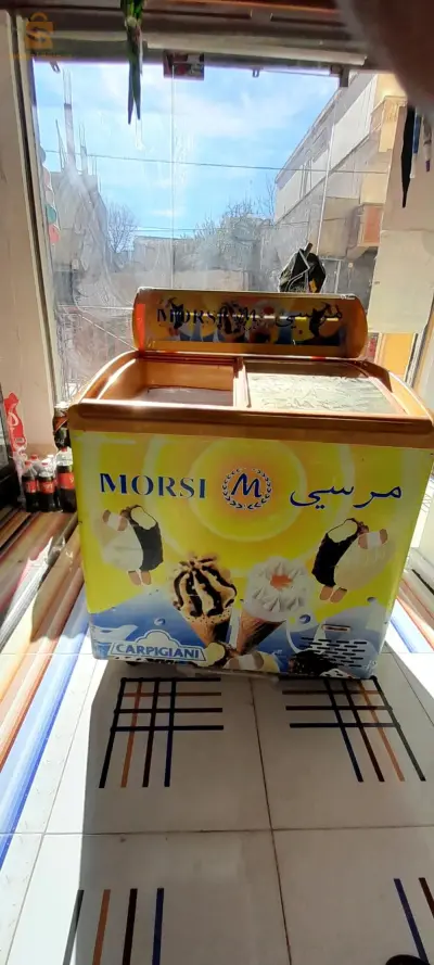 المدية