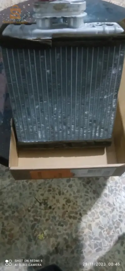 شفة