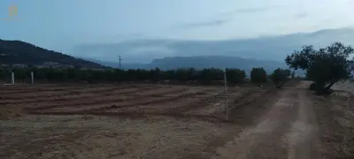شتوان سيدي عيسى عين البيضة