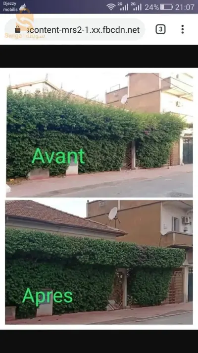 slt