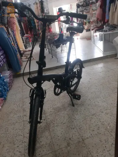 Fg
