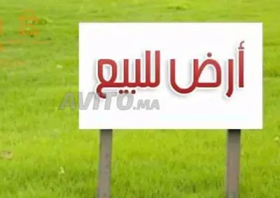 شاطئ أولاد بن عايد _ لبحيرة