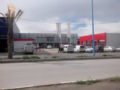 فيليبس طريق يشير
