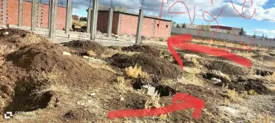 Dreia souk ahras