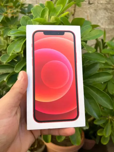 IPhone 12 
Uk 🇬🇧 🇬🇧
Eatat 9,5/10
Boite 
Batterie 79%
256 GB
Coulch active
Nbi3 barak
0782107205