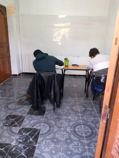 تقديم دروس تعليمية في اللغة العربية وآدابها، لطوري المتوسط والثانوي
