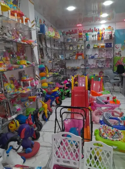 المدية