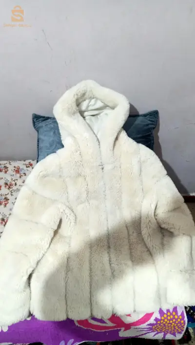 مونتو فورير