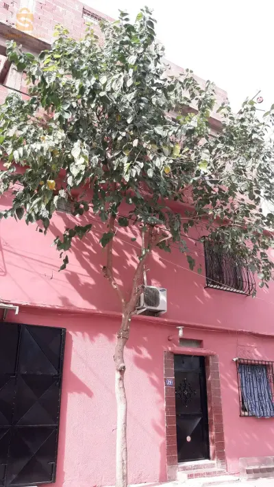 منزل مكتمل من كل شيء بالدفتر العقاري