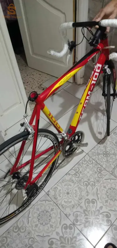 vélo Team–100 à vendre