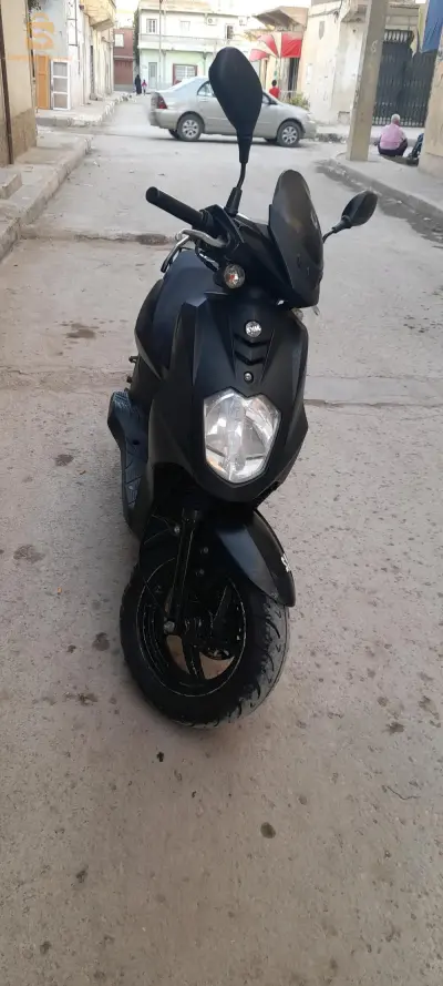 ام البواقي