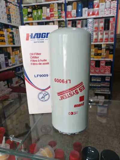 حي مازوكة العلمة