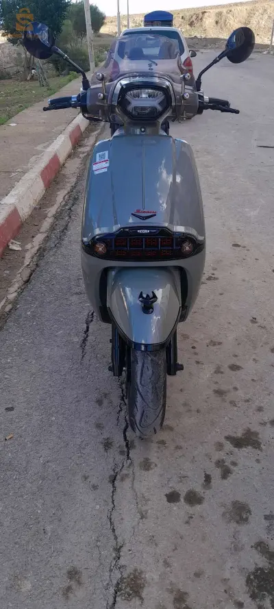 شلف تاجنة