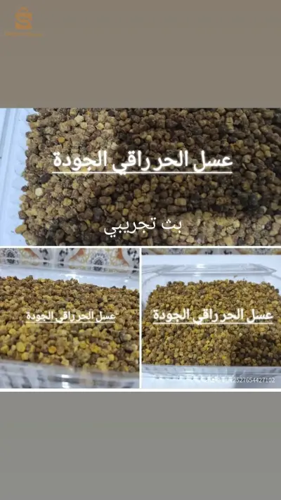 البليدة