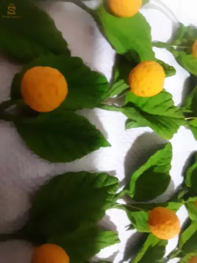 ازهار الكنباس