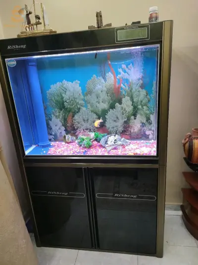 aquarium