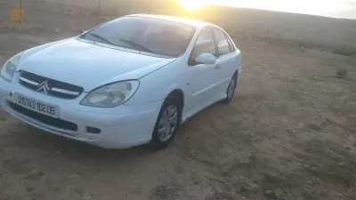 راس العيون باتنة