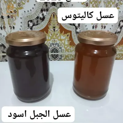 البليدة