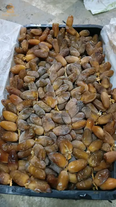 فوغالة