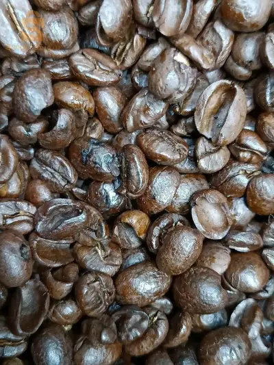 قهوة ارابيكا جودة عالية