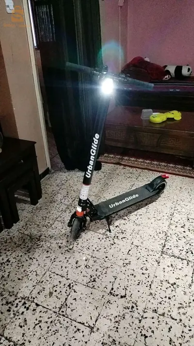 الجزائر